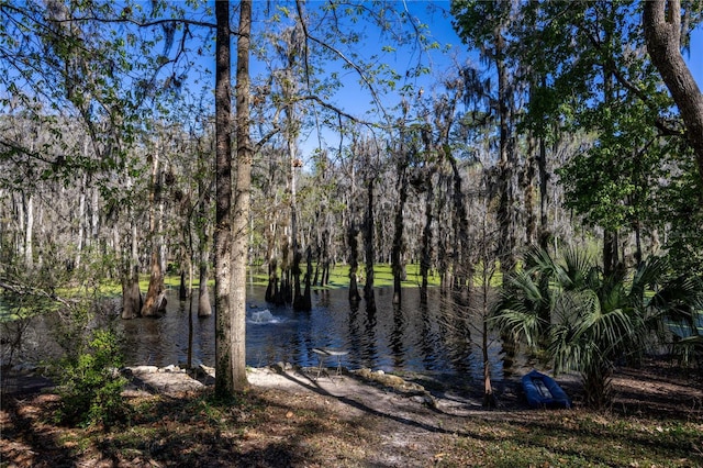 view of water feature with a wooded view