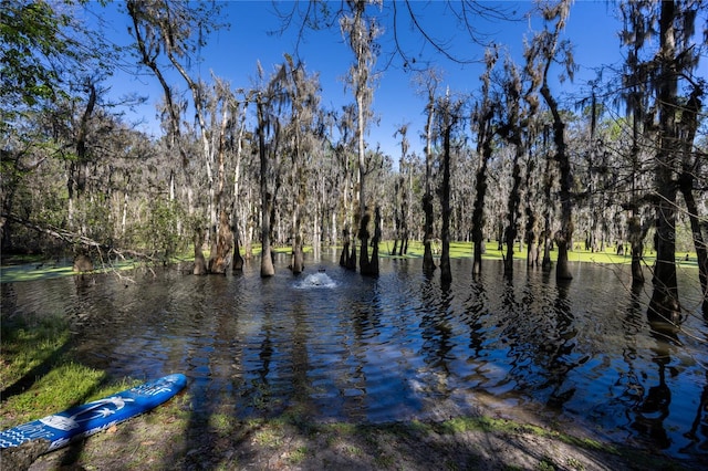 property view of water with a view of trees