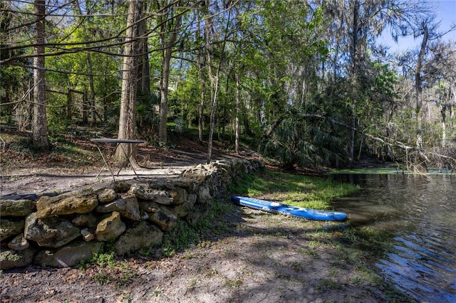 view of yard with a view of trees and a water view