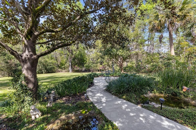 1118 SW 112th St, Gainesville, FL 32607 - view of community with a yard