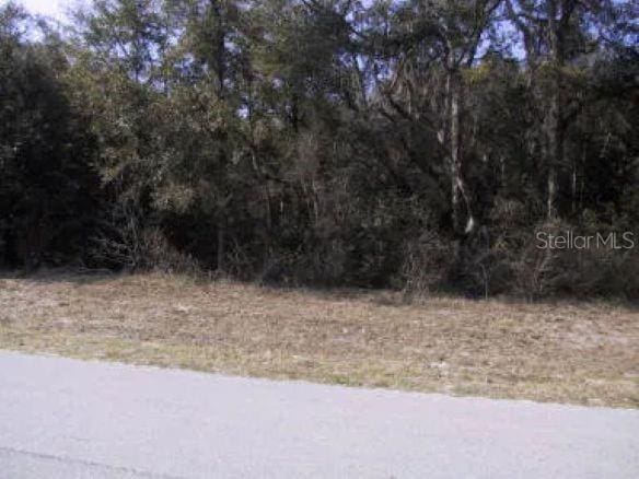 5 W Park Ave, Chiefland, FL 32626 - photo 1