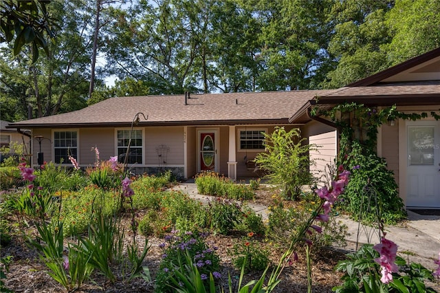 4426 NW 43rd Pl, Gainesville, FL 32606 - photo 6