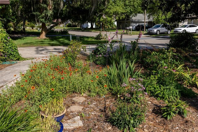 4426 NW 43rd Pl, Gainesville, FL 32606 - photo 53