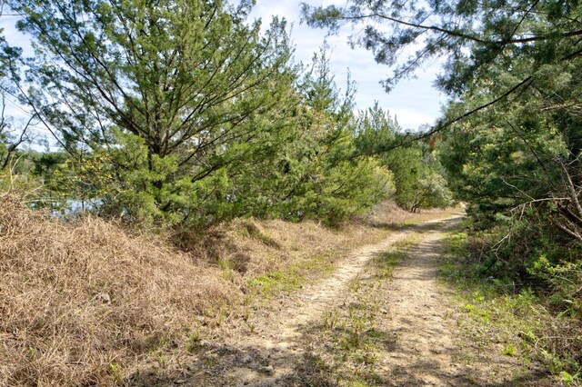 TBD Tbd, Newberry, FL 32669 - photo 24