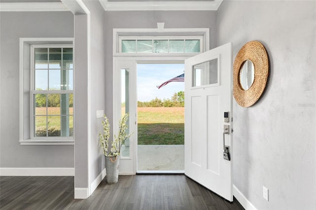foyer featuring baseboards, dark wood-style flooring, and ornamental molding
