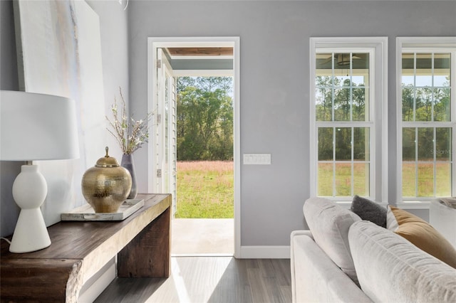 entryway featuring dark wood-type flooring and baseboards