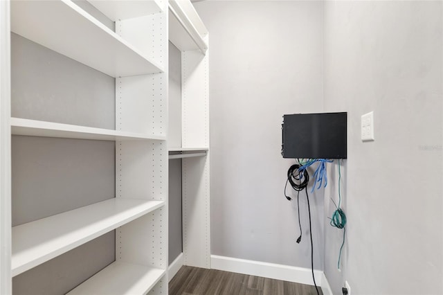 walk in closet featuring dark wood-style flooring