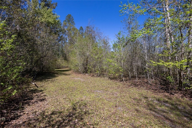 6917 NW 254th Ave, Alachua, FL 32615 - photo 5