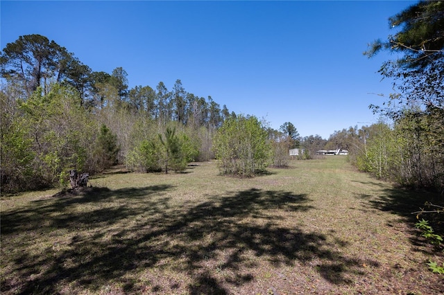 6917 NW 254th Ave, Alachua, FL 32615 - photo 6