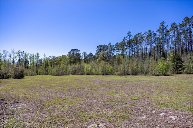 6917 NW 254th Ave, Alachua, FL 32615 - photo 13