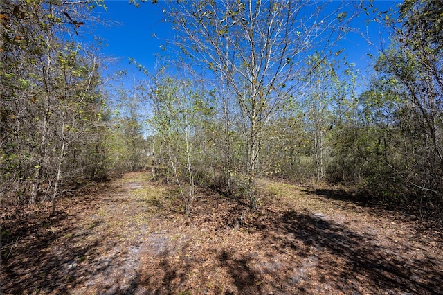 6917 NW 254th Ave, Alachua, FL 32615 - photo 37