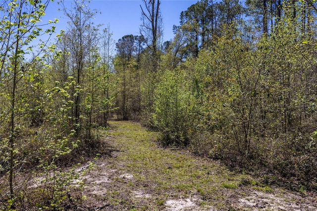 6917 NW 254th Ave, Alachua, FL 32615 - photo 38
