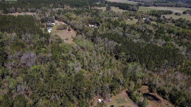 6917 NW 254th Ave, Alachua, FL 32615 - photo 45