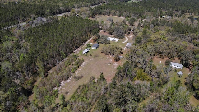 6917 NW 254th Ave, Alachua, FL 32615 - photo 47