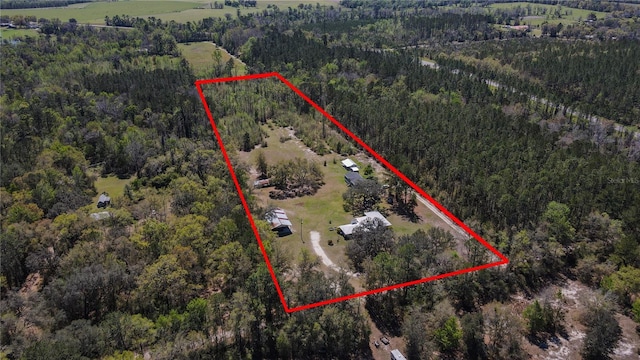6917 NW 254th Ave, Alachua, FL 32615 - photo 56