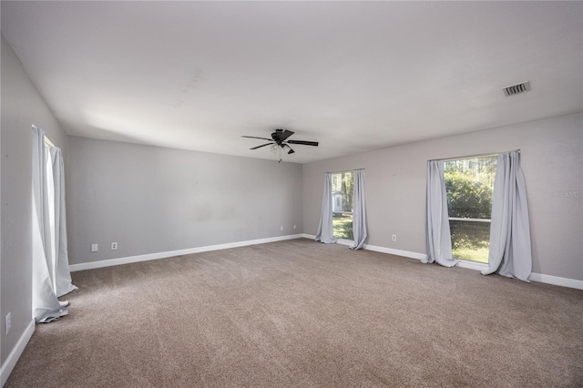 6917 NW 254th Ave, Alachua, FL 32615 - photo 88
