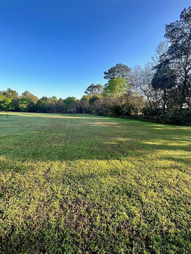 NW 4th Ave, Williston, FL 32696 - photo 2