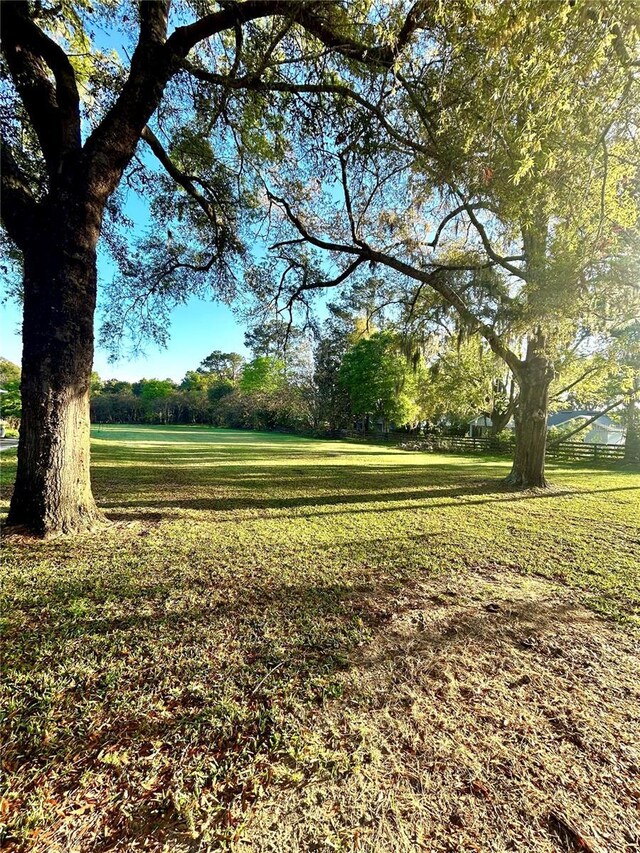 NW 4th Ave, Williston, FL 32696 - photo 5