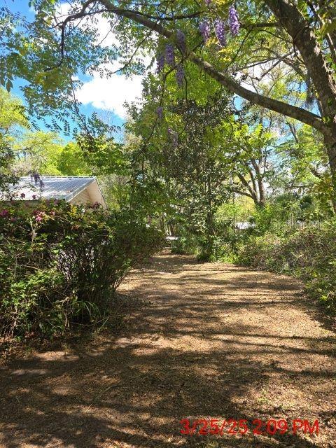 306 NE 5th St, Chiefland, FL 32626 - photo 14