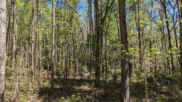 00 NW 35th Ave, Gainesville, FL 32606 - photo 1