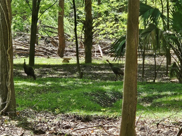 00 NW 35th Ave, Gainesville, FL 32606 - photo 4
