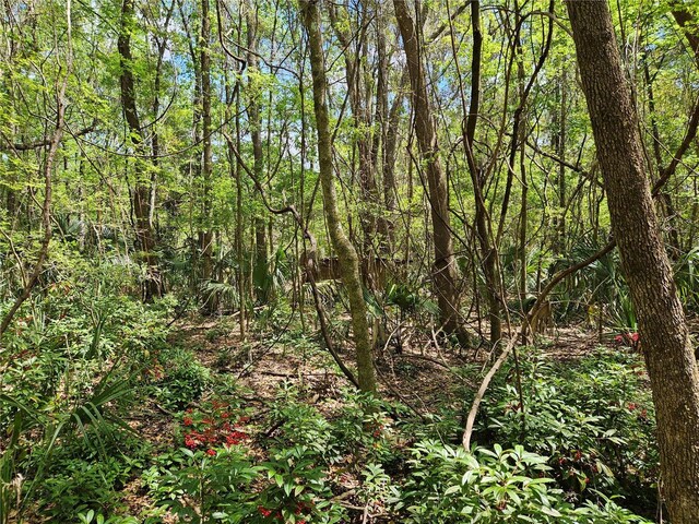 00 NW 35th Ave, Gainesville, FL 32606 - photo 6