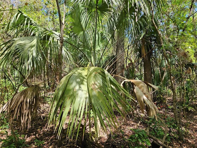 00 NW 35th Ave, Gainesville, FL 32606 - photo 7