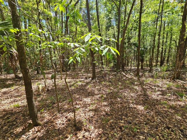 00 NW 35th Ave, Gainesville, FL 32606 - photo 8
