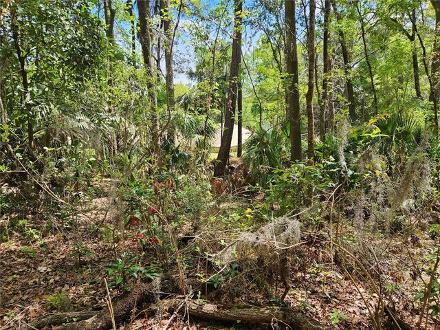 00 NW 35th Ave, Gainesville, FL 32606 - photo 9