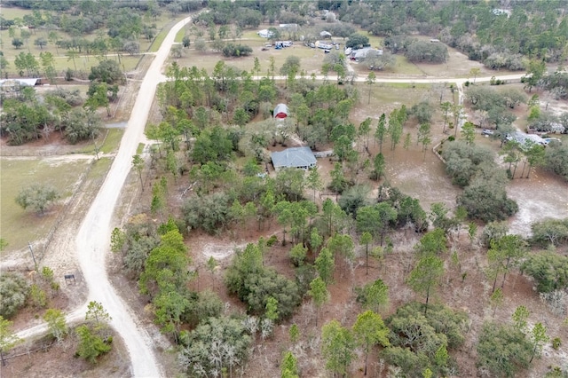 6550 SE 123rd Ter, Morriston, FL 32668 - bird's eye view with a rural view