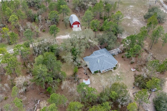 6550 SE 123rd Ter, Morriston, FL 32668 - aerial view