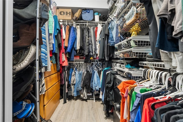spacious closet featuring wood finished floors