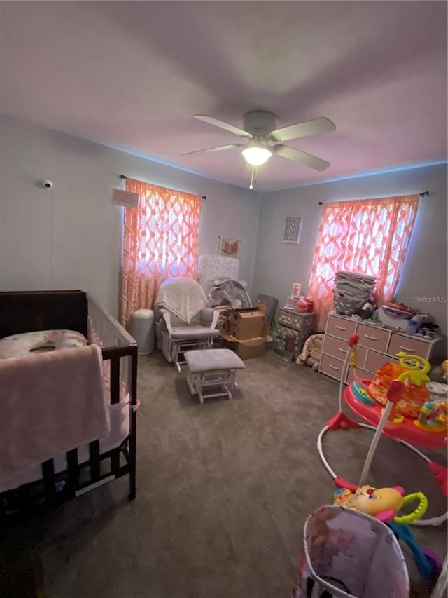 13726 N County Road 229, Raiford, FL 32083 - photo 29
