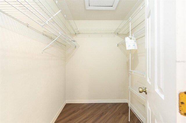 914 NW 42nd Ter, Gainesville, FL 32605 - photo 27