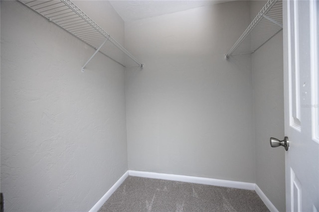 501 SW 75th St Unit E3, Gainesville, FL 32607 - walk in closet featuring carpet floors