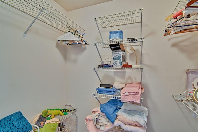 12332 NW 7th Ln, Newberry, FL 32669 - view of spacious closet