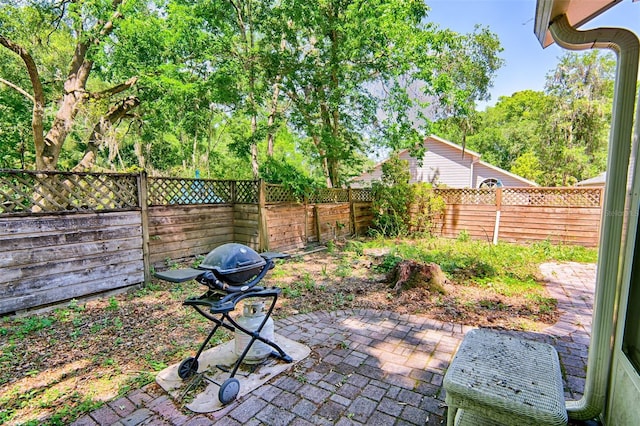 12332 NW 7th Ln, Newberry, FL 32669 - view of yard with a fenced backyard and a patio area