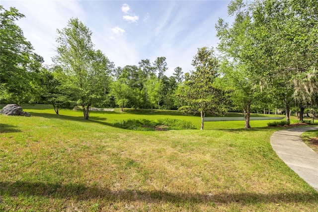 view of home's community with a yard