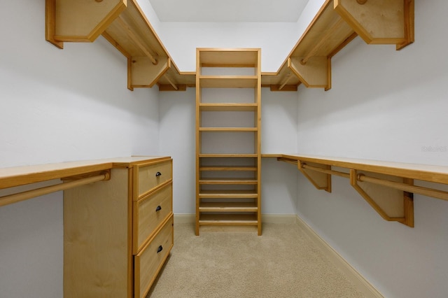 4535 SW 105th Dr, Gainesville, FL 32608 - spacious closet with light colored carpet