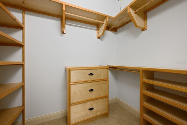 4535 SW 105th Dr, Gainesville, FL 32608 - spacious closet with light carpet