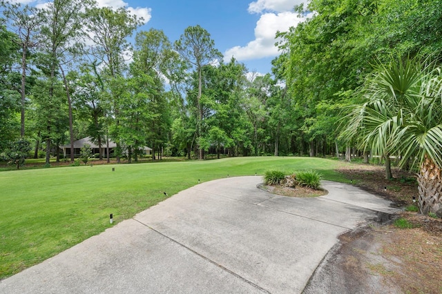 4535 SW 105th Dr, Gainesville, FL 32608 - view of grassy yard with view of wooded area