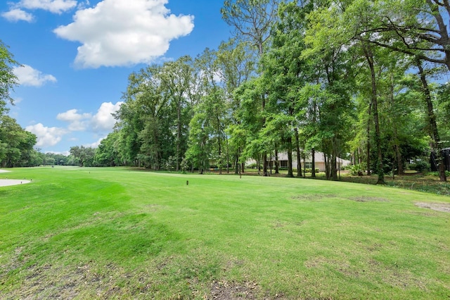 4535 SW 105th Dr, Gainesville, FL 32608 - view of grassy yard featuring view of wooded area and view of golf course