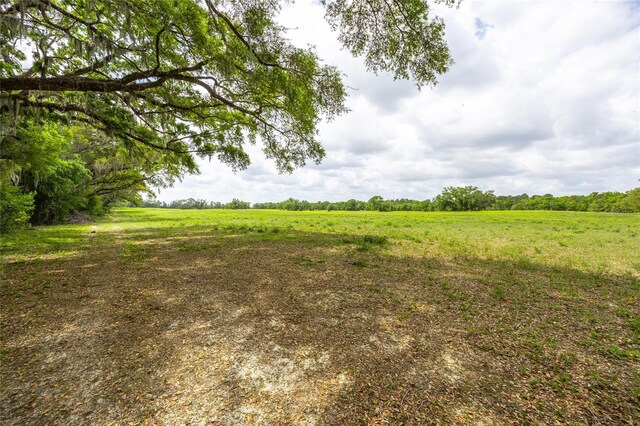 TBD SW 220th Dr, Newberry, FL 32669 - photo 6