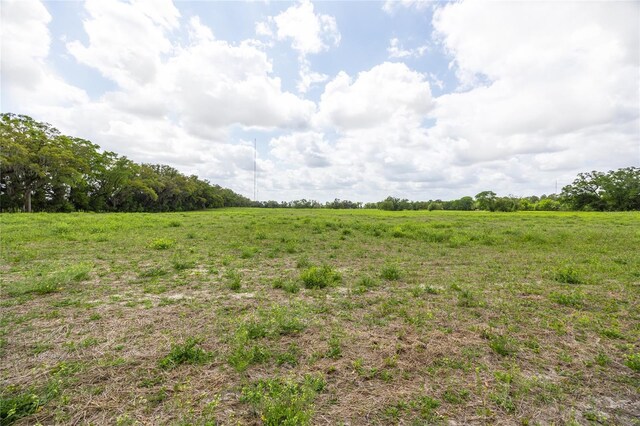 TBD SW 220th Dr, Newberry, FL 32669 - photo 5