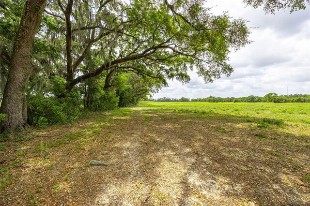 TBD SW 220th Dr, Newberry, FL 32669 - photo 5