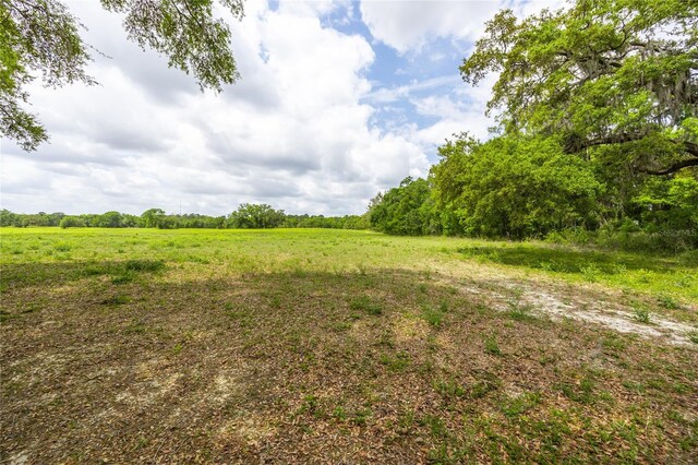 TBD SW 220th Dr, Newberry, FL 32669 - photo 7