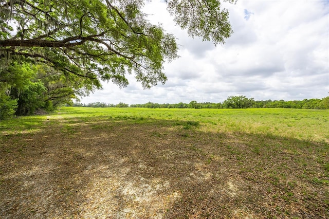 TBD SW 220th Dr, Newberry, FL 32669 - photo 6