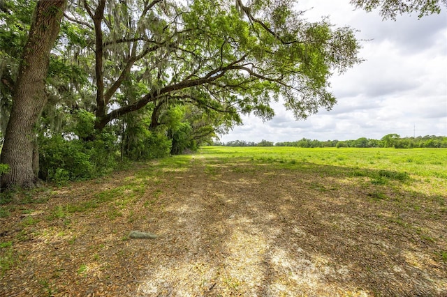TBD SW 220th Dr, Newberry, FL 32669 - photo 5