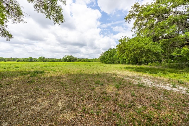 TBD SW 220th Dr, Newberry, FL 32669 - photo 7