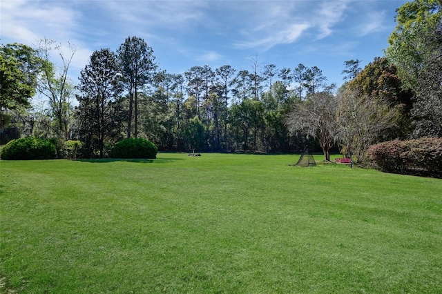 view of yard